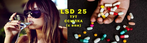 стафф Осинники