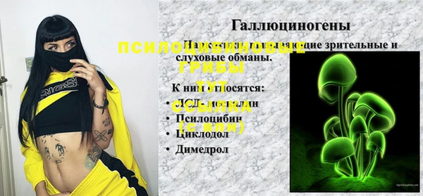 стафф Осинники
