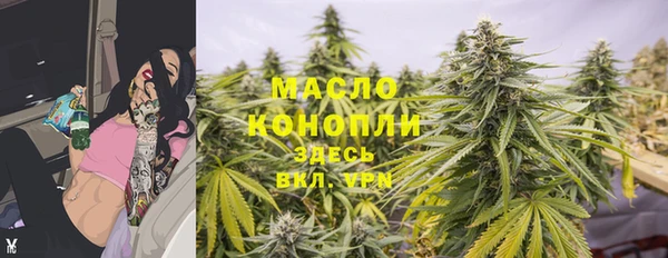 стафф Осинники