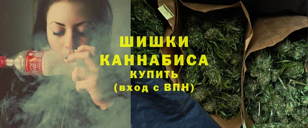 индика Видное