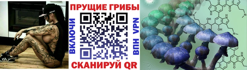 где купить наркотик Верхняя Салда Псилоцибиновые грибы прущие грибы