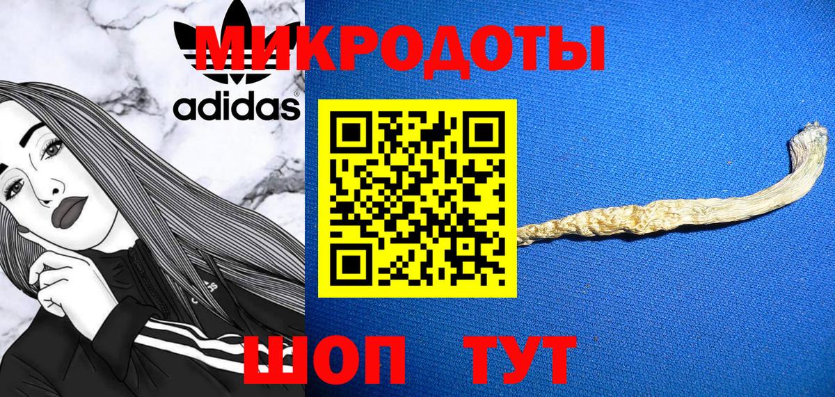 Псилоцибиновые грибы Cubensis Верхняя Салда