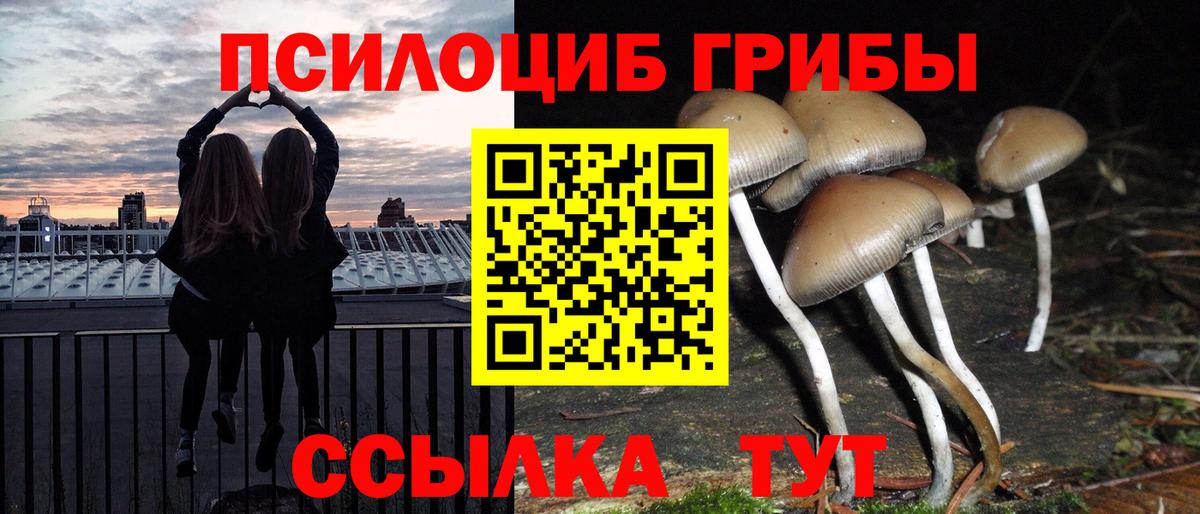 Верхняя Салда  Псилоцибиновые грибы Cubensis  Вход с VPN  даркнет сайт  Псилоцибиновые грибы Psilocybe 