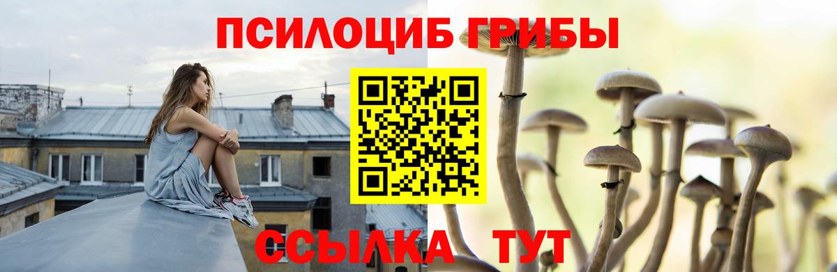 как найти наркотики  Галлюциногенные грибы GOLDEN TEACHER  Верхняя Салда  Галлюциногенные грибы ЛСД 